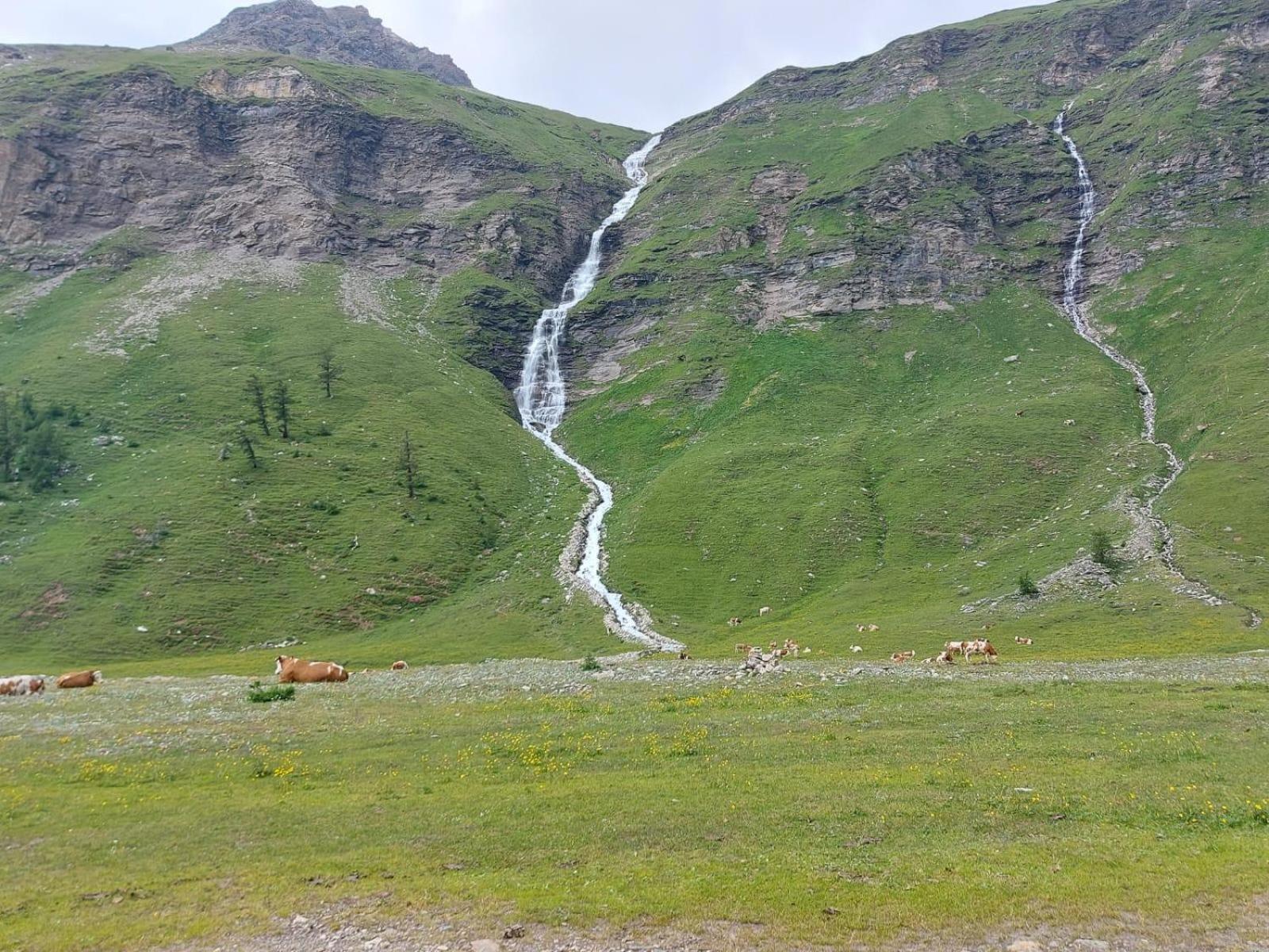 Stoffelehof Daire Großkirchheim Dış mekan fotoğraf
